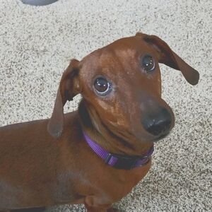 Meet your Posher, ewc66